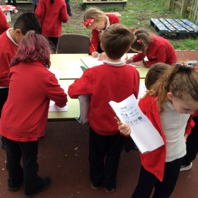 Microhabitats