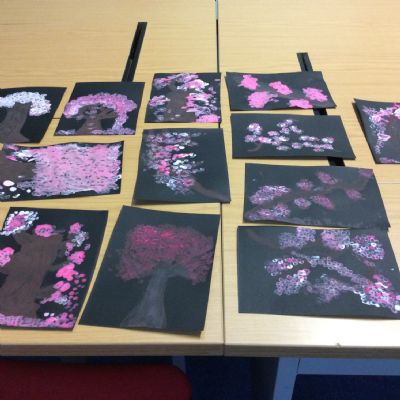 Japanese Cherry Blossom pictures