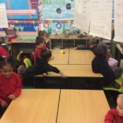 Computing - BeeBots